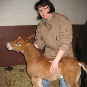 Tieraerztin Marion Wickert whrend der Behandlung eines Fohlens